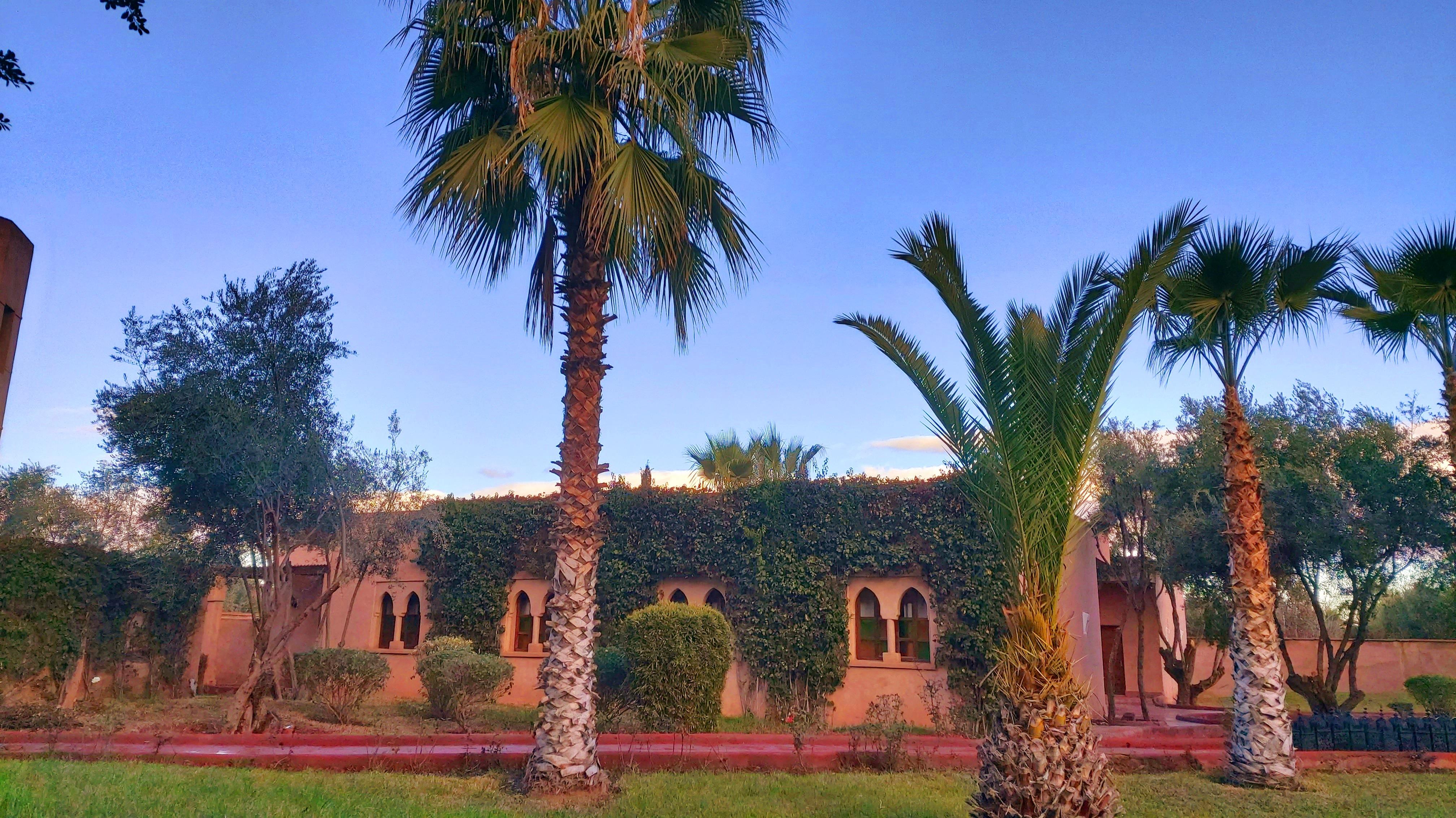 Casa de hóspedes La Maison Des Oliviers Lagouassem
